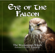Eye of the Falcon